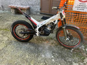 TRIAL BETA EVO 300 2T