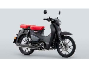 VENDO HONDA SUPER CUB C125 (2022 - 24) NUOVA A CASERTA (CODICE 9408426) - MOTO.IT