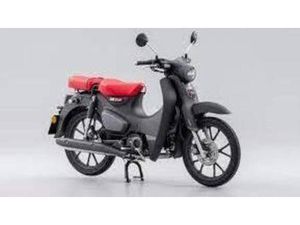 VENDO HONDA SUPER CUB C125 (2022 - 24) NUOVA A BOLLATE (CODICE 9395569) - MOTO.IT
