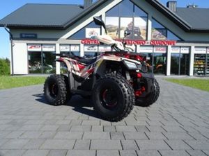 QUAD DLA DZIECI ASIX HUNTER 125 CC 8'' 1+1 AUTOMAT 4T W TRZECH KOLORACH