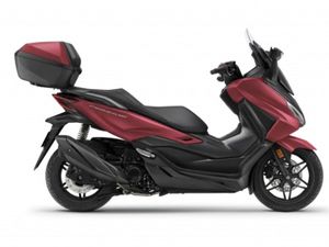 HONDA NSS 350 FORZA SMART TOP BOX, SCOOTER, MOTO NEUVE, CHF 7'290.-