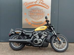 HARLEY-DAVIDSON SPORTSTER RH975S NIGHTSTER SPECIAL MY 23