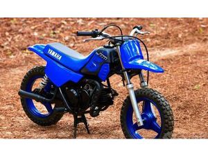 VENDO YAMAHA PW 50 (2023) NUOVA A CATANIA (CODICE 9641858) - MOTO.IT