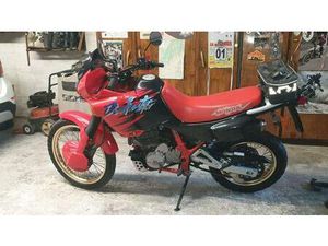 VENDO HONDA NX 650 DOMINATOR (1991 - 95) USATA A VERONA (CODICE 9643392) - MOTO.IT