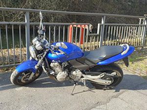 HONDA HORNET CB 600F - GUTER ZUSTAND