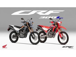 MOTO NEUVE: HONDA CRF300L