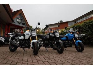 HONDA GROM 125 ! MSX 125 ! NEU 2025 !