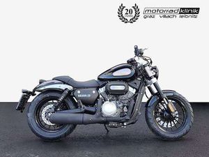 CHINCHILLA 300 TEILZAHLUNG Â¬ 49,- GARANTIE