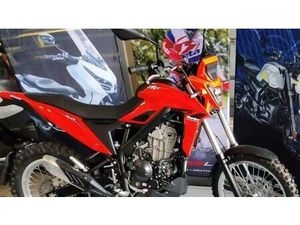 VENDO BETAMOTOR ALP 4.0 (2024 - 25) NUOVA A FAENZA (CODICE 9693524) - MOTO.IT