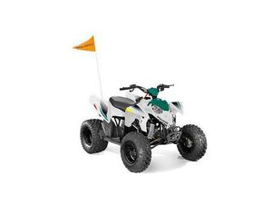 2025 POLARIS OUTLAW 110 EFI