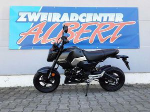 HONDA MSX125 €5+ 6 JAHRE GARANTIE