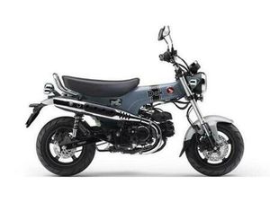 VENDO HONDA DAX 125 (2025) NUOVA A RIMINI (CODICE 9705805) - MOTO.IT