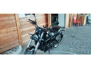 BENELLI LEONCINO 500 - 2023