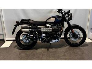 VENDO TRIUMPH STREET SCRAMBLER 900 GOLD LINE EDITION (2021 - 23) USATA A PESARO (CODICE 9707283) - MOTO.IT