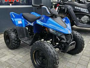 EV 110 4X2 ** KIDS 110 MINI ** FINANZIERUNG MÃ¶G...