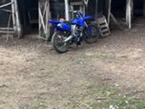 YAMAHA MAJESTY 250 - 2009