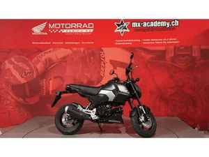 MSX 125 *NEUFAHRZEUG*