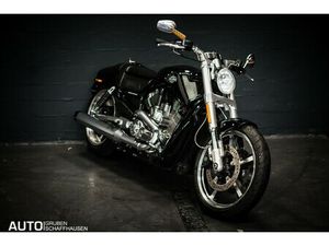 VRSCF V-ROD MUSCLE ABS