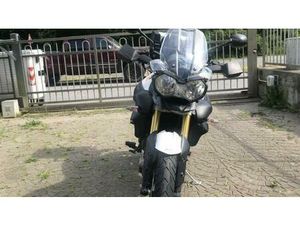 VENDO TRIUMPH TIGER 800 ABS (2010 - 14) USATA A CHIUSA DI SAN MICHELE (CODICE 9721724) - MOTO.IT
