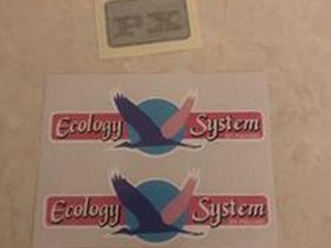 MOTORINO PIAGGIO CIAO