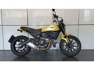 VENDO DUCATI SCRAMBLER 800 ICON (2017 - 20) USATA A ALBINO (CODICE 9723981) - MOTO.IT