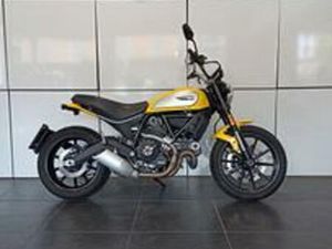 DUCATI SCRAMBLER ICON YELLOW
