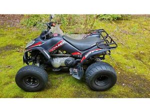 QUAD MIT LOF ZULASSUNG