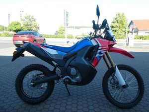 HONDA CRF 300 RALLY 2025 - WINTERAKTION !