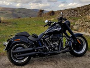 HARLEY-DAVIDSON FAT BOY S (FLSTFBS)