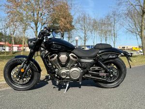 BENDA CHINCHILLA 500