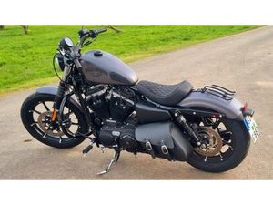 HARLEY-DAVIDSON SPORTSTER XL 883 IRON N