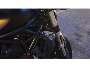 MONSTER 821 (2018 - 20)