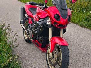 APRILIA RSV 1000 TUONO RR