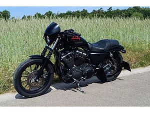 HARLEY-DAVIDSON SPORTSTER IRON AUCH A2 TAUGLICH