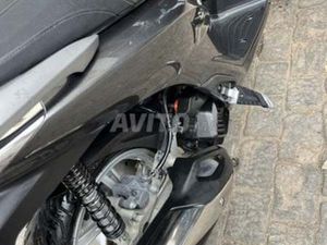 SH 2021 - IMPORTÉE NEUVE