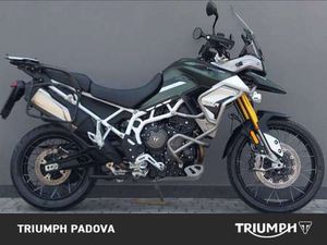 TRIUMPH TIGER 900 RALLY PRO VERDE