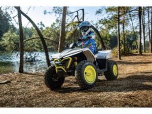 CFMOTO 110 EV KINDERQUAD
