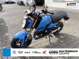 HONDA MSX125 GROM B196 FÜHRERSCHEIN