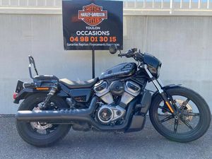 ECOSSE SPORTSTER NIGHTSTER 975 2023