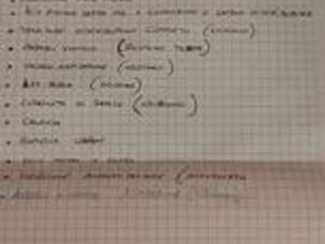 FANTIC ENDURO 250 - 2022