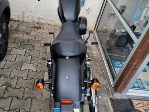 SPORTSTER 883 HARLEY DAVIDSON