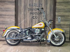 FLSTC SOFTAIL CLASSIC