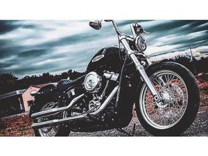 VENDO HARLEY-DAVIDSON SOFTAIL STANDARD (2020) - FXST USATA A SAN MINIATO (CODICE 9771533) - MOTO.IT