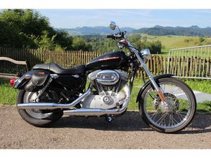 XL 883 C SPORTSTER CUSTOM