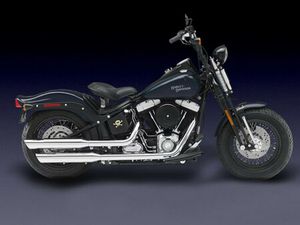 2009 HARLEY-DAVIDSON® FLSTSB - CROSS BONES™