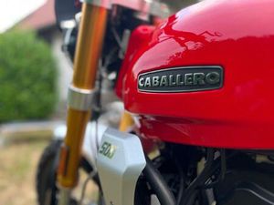 FANTIC CABALLERO 500 SCRAMBLER UMBAU