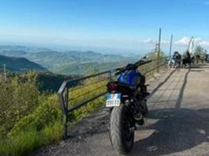 MT 07 2019 DEPOTENZIATA