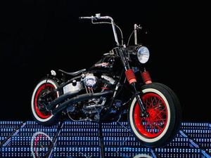 FXST SOFTAIL 5-SPEED
