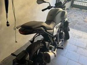 VOGE TROFEO 500 - 2024