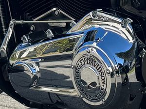 SOFTAIL SLIM UMBAU RICKS 300